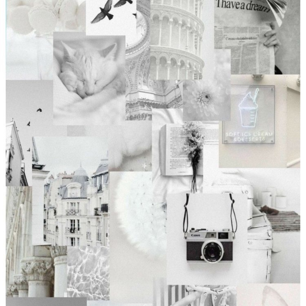 Meet your Posher, Giselle